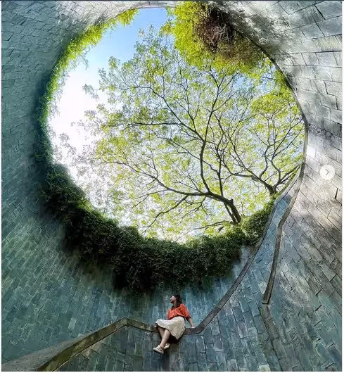 不只是魚尾獅公園!2022年新加坡必去的『10個打卡景點』🌸欣賞不一樣的花園城市~