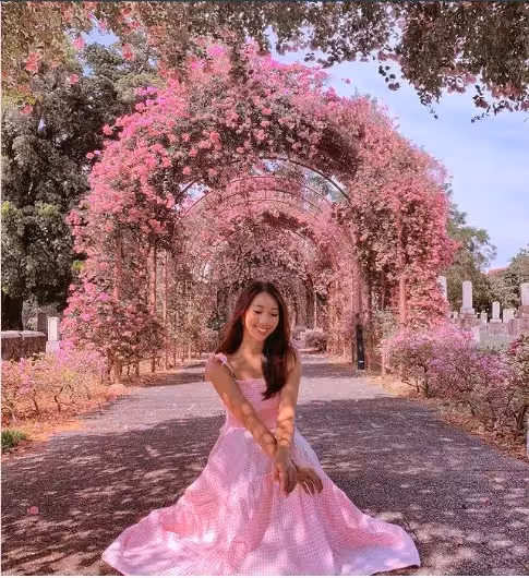 不只是魚尾獅公園!2022年新加坡必去的『10個打卡景點』🌸欣賞不一樣的花園城市~