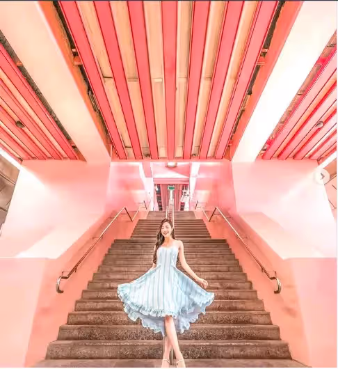 不只是魚尾獅公園!2022年新加坡必去的『10個打卡景點』🌸欣賞不一樣的花園城市~