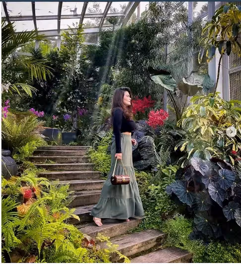 不只是魚尾獅公園!2022年新加坡必去的『10個打卡景點』🌸欣賞不一樣的花園城市~