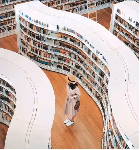 不只是魚尾獅公園!2022年新加坡必去的『10個打卡景點』🌸欣賞不一樣的花園城市~