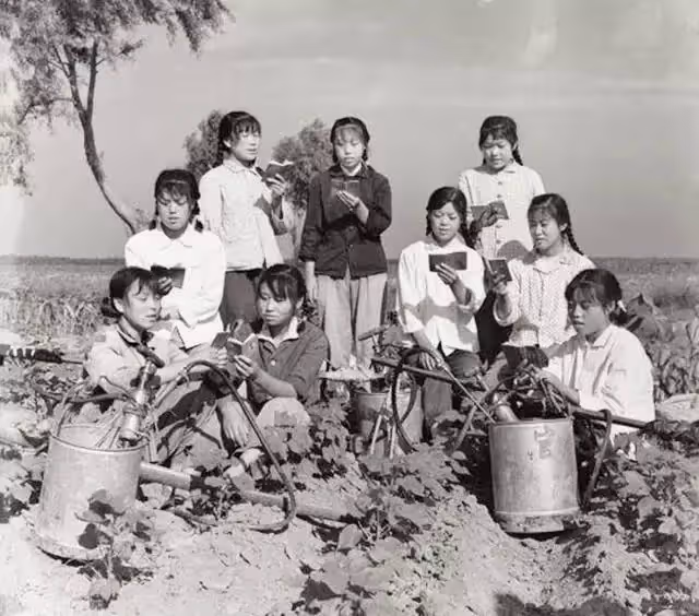 分別39年!農村教師突然得知,親妹是林青霞,相認後不要一分錢
