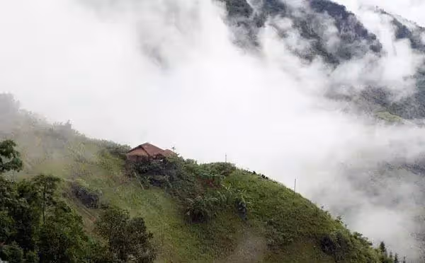 嫌家窮越南媽媽跑回國，6歲女童留守大山與爺爺相依為命，種菜做飯樣樣在行，邊摘菜邊笑：等爸爸回來一起吃