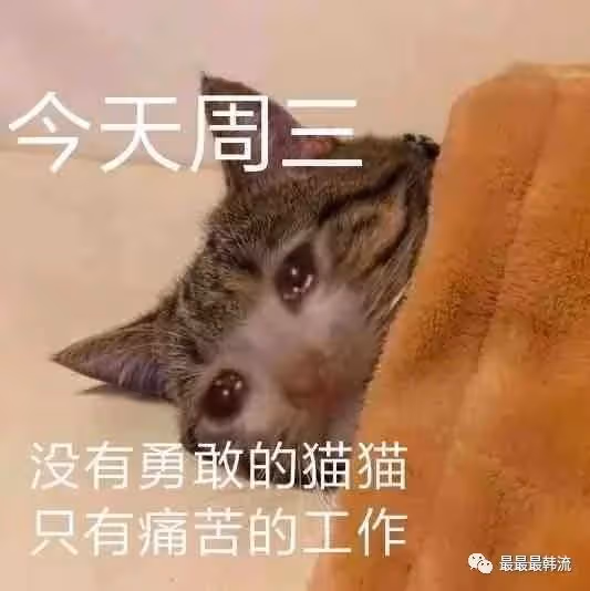 這又是在幹什麼……