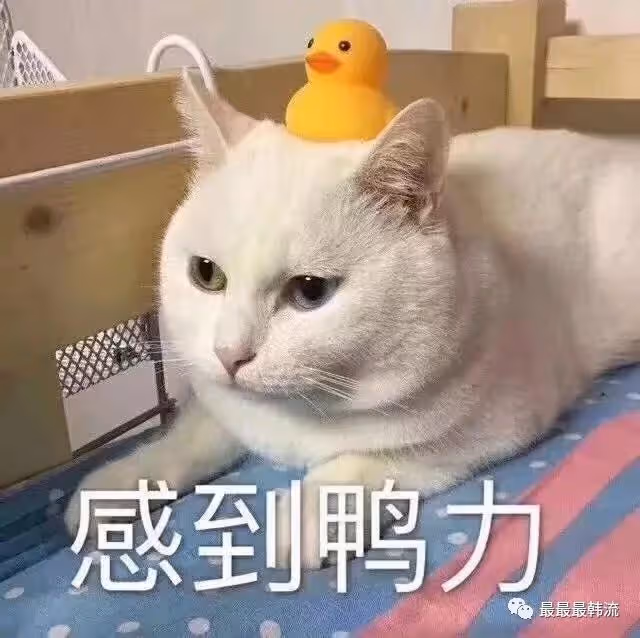 這又是在幹什麼……