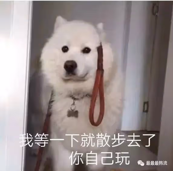她倆的臉……傻傻分不清?
