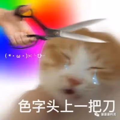 她倆的臉……傻傻分不清?