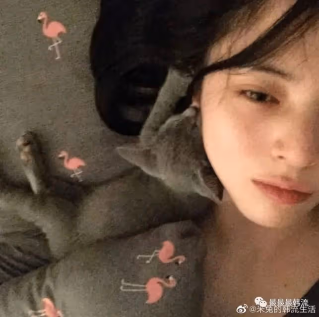 她倆的臉……傻傻分不清?