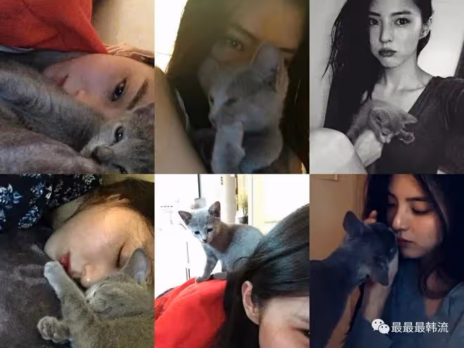 她倆的臉……傻傻分不清?