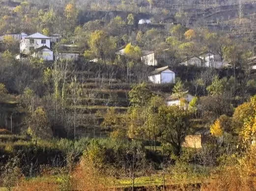 婆婆生病住院,我把嫁妝拿來給婆婆治病,第二天老公的話我心涼了