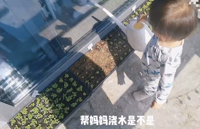 鄭愷老婆曬隔離日常:豪宅內搭帳篷看夜景很愜意,1歲女兒罕露面