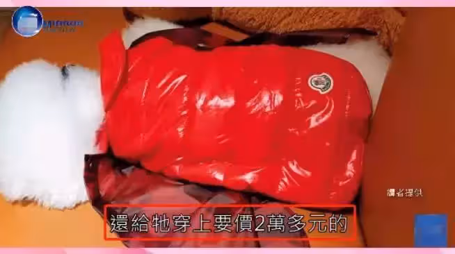 41歲蔡依林臺北豪宅內景曝光!落地窗視野開闊眺望101「一覽無餘」,將天臺改造成「溫馨農場」親手種菜