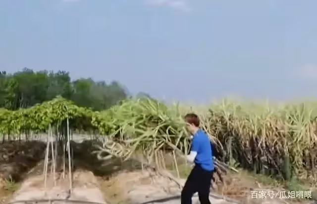 任嘉倫剛出道後被封殺1年,一道菜撐2頓1天就過了!女友陪伴不棄