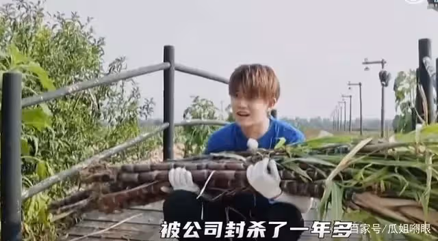 任嘉倫剛出道後被封殺1年,一道菜撐2頓1天就過了!女友陪伴不棄