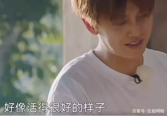 任嘉倫剛出道後被封殺1年,一道菜撐2頓1天就過了!女友陪伴不棄