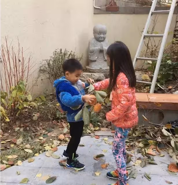 趙文卓豪宅曝光!「院子大到可種樹」人造景觀超氣派 結縭13年妻獻「超狂生日禮」出手闊綽