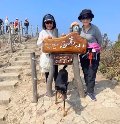 73歲馬海倫全家福罕曝光,戲裡綠葉紅花,戲外兒孫滿堂半億身家,全家行山不會累,網贊:真正人生贏家