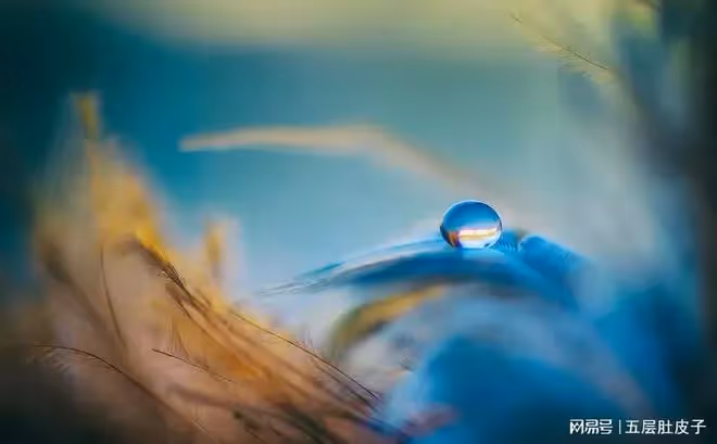 因為心疼母親,老公經常把活搶來讓我做:多干點家務!都是為你好