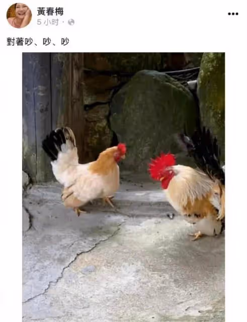 大S與張蘭關係破冰，帶五歲兒子跟奶奶慶祝生日，汪希箖模樣大變