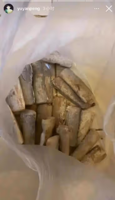 彭于晏暖心與志願者合照，劉嘉玲現身上海做核算，手機擺放惹爭議