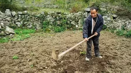 《這就是灌籃5》擬邀名單曝光！第二季發起人白敬亭回歸？任嘉倫魏晨加盟成經理人