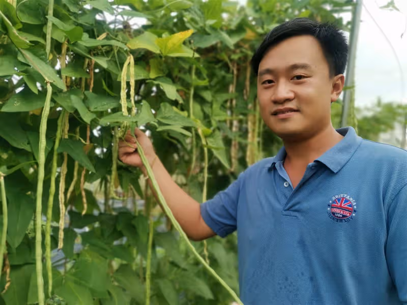 全馬唯一研發抗病基因種子　讓農民沒有種不起的菜