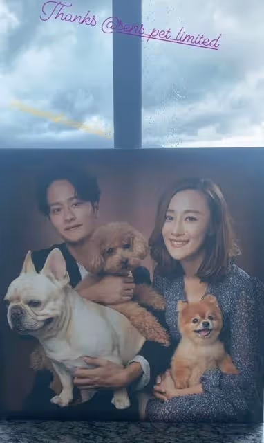 TVB上位小生《金宵2》中首登場,新角色擅偽裝,真實身份不簡單