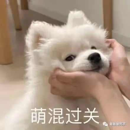 這是翻車了嗎?