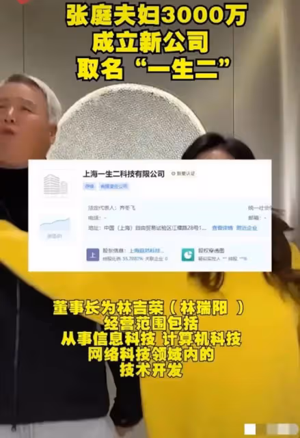 張庭林瑞陽96套房產被罰，但資產遠不止如此，有恃無恐太囂張！