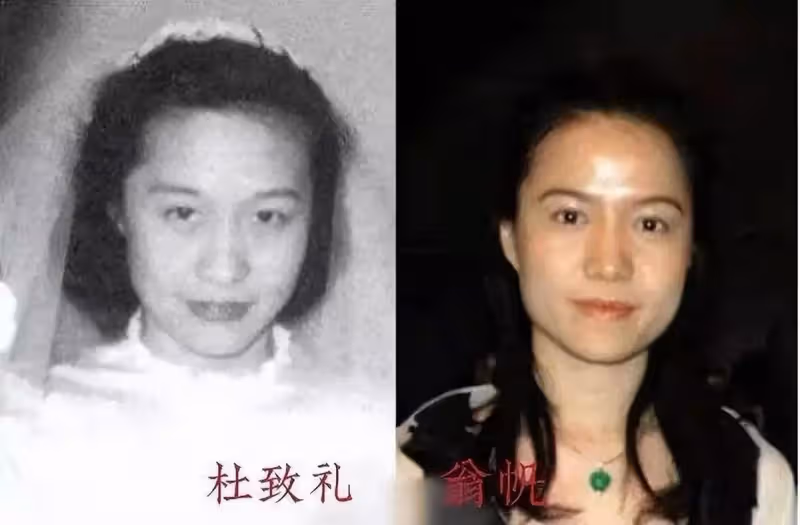 翁帆的「人間清醒」，和她堅持嫁大54歲楊振寧的真正原因！