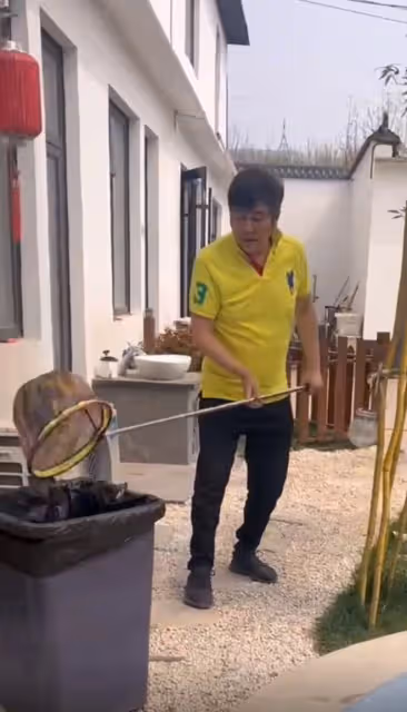 67歲港星林威全家定居河北！親自打理花園生活悠閒，2層別墅曝光