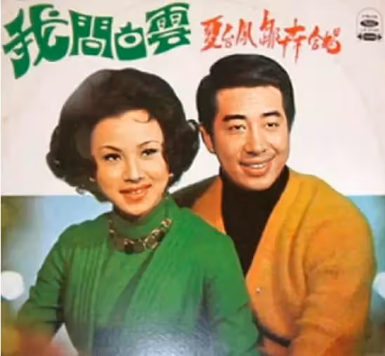 相攜到老！夏台鳳「一婚不順」兒子早逝　今72歲近況「二婚嫁小25歲老公」居家做菜繪畫