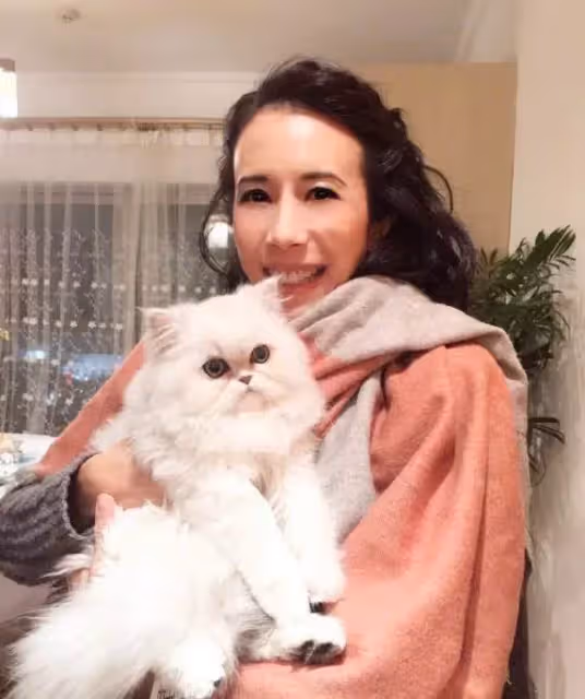 活得像公主！50歲莫文蔚「德國豪宅曝光」如童話裡的城堡，充滿西式風格的獨棟別墅：輝煌華麗
