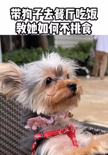 玲子reiko：豪車換著開，每頓飯都散發著金錢的味道，她是何來頭