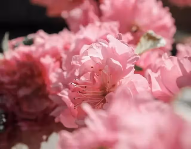 「我們全款買的婚房,憑啥加你的名字」婆婆的質問,新娘無話可說