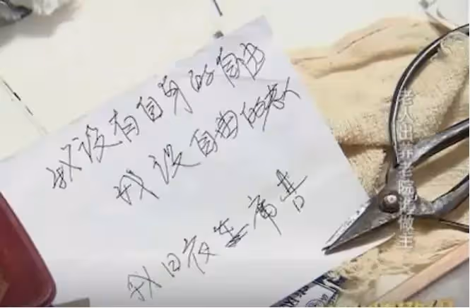 91歲老人被4個子女送養老院,多次逃離未果,子女始終拒絕接回,她哭著說:我想回家多活2年