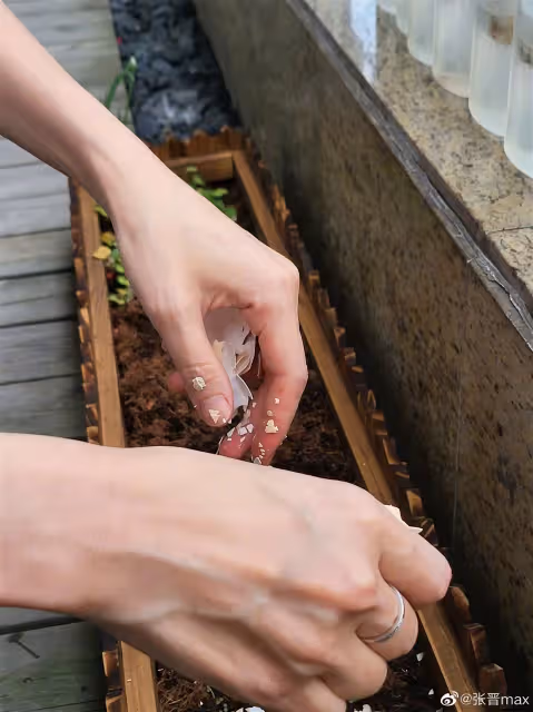 蔡少芬上海家中種菜　網調侃：港姐都要耕種謀生？