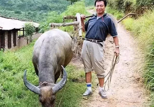 當年紅過周潤發!卻棄影當農民「後拒絕千萬片酬」 今靠種田「成億萬富翁」原因令人欽佩