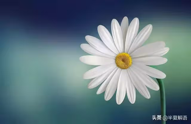 侄子和女兒同歲,婆婆讓全職兒媳順帶照顧,照顧一月後得罪全婆家