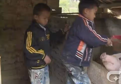 10歲哥哥與9歲弟弟，沒有一個親人，靠人接濟度日，鄰居：兄弟倆讓人心疼