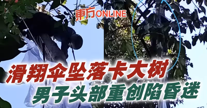 滑翔傘墜落卡大樹　男子頭部重創陷昏迷