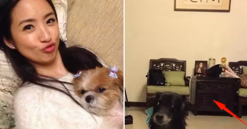 曬曬林依晨的家，室內裝修很普通，簡單大氣生活氣息十足，網友：完全不像是明星住的