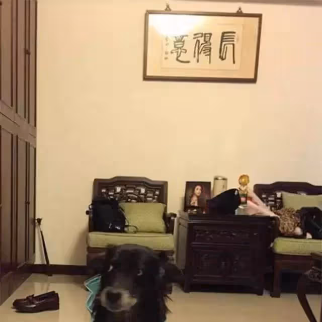 曬曬林依晨的家,室內裝修很普通,簡單大氣生活氣息十足,網友:完全不像是明星住的