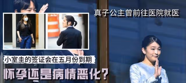 懷孕還是病情惡化?離開日本半年後真子公主可能返回日本養身體?