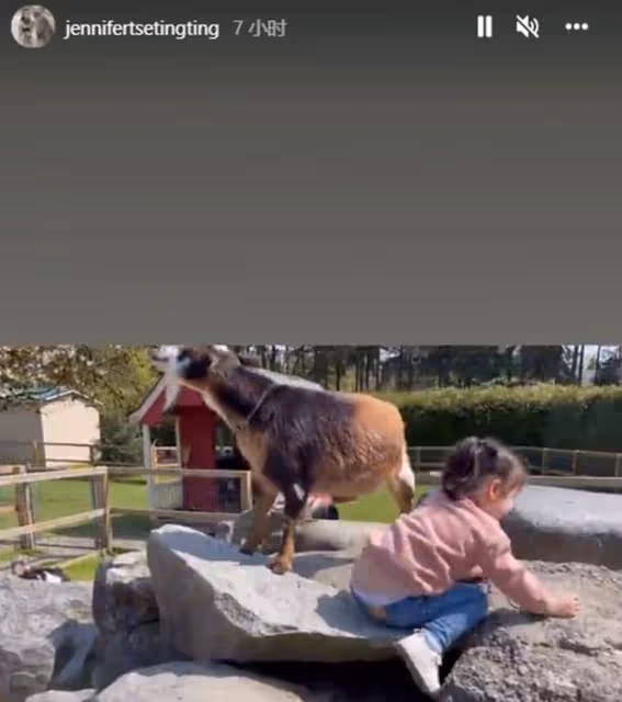 謝霆鋒妹妹帶娃遊動物園,3歲女兒扎小辮太可愛,孩子生父疑同行