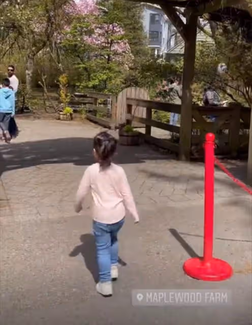 謝霆鋒妹妹帶娃遊動物園,3歲女兒扎小辮太可愛,孩子生父疑同行