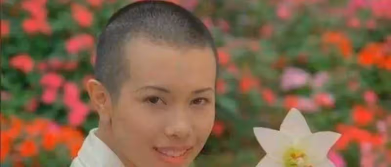 女明的光頭造型，范冰冰依舊美，章子怡很嚇人，莫文蔚勉強能看
