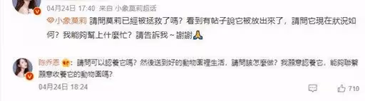 不忍小象「莫莉」受虐　陳喬恩痛心發聲吁拒絕動物表演