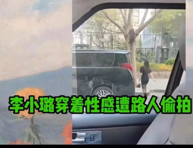李小璐近照被吐槽鼻子透光，黑粉說她整容，她回應：跟你有關係