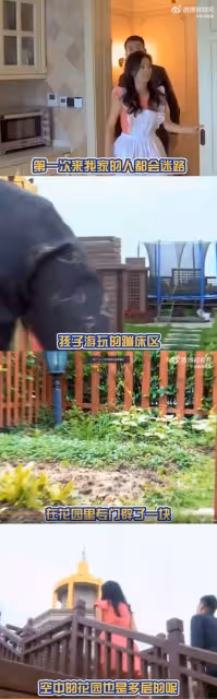 靠傳銷擁8億豪宅！張庭「洗腦話術被挖出」網驚：沒發現不對　粉絲跪地痛哭：「騙我300萬血汗錢」